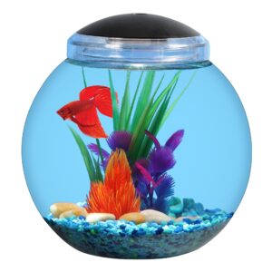 aqua culture 1 gallon globe fish bowl with led light
